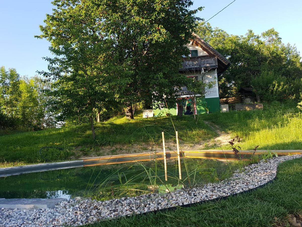 Holiday Home Sonnenhaus Svecina Buitenkant foto